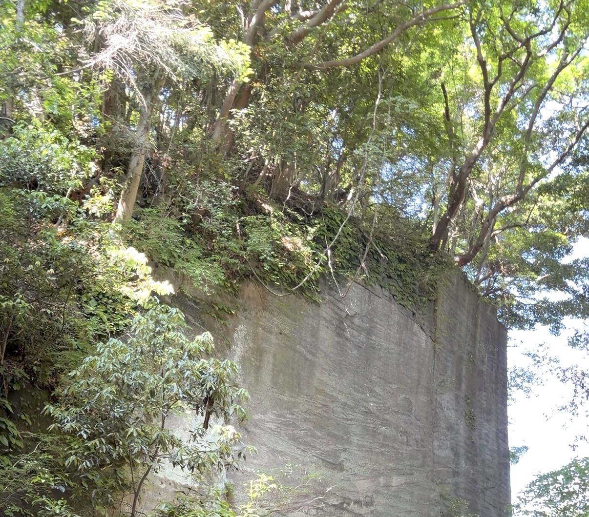 鋸山の石切場跡へと続く木々に囲まれた道
