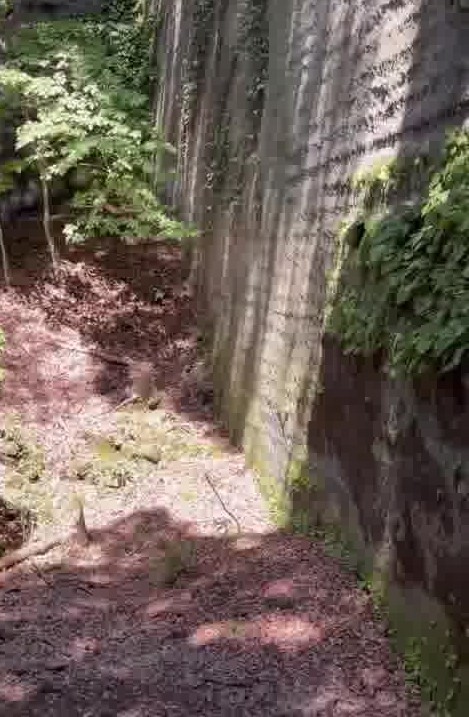 鋸山の石切場跡。垂直に切り立った岩壁に手作業の跡が残る