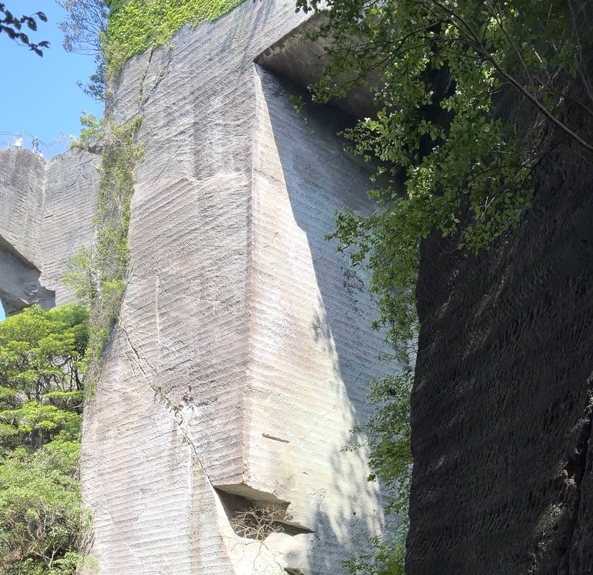 鋸山の石切場跡。垂直に切り立った岩壁と展望台