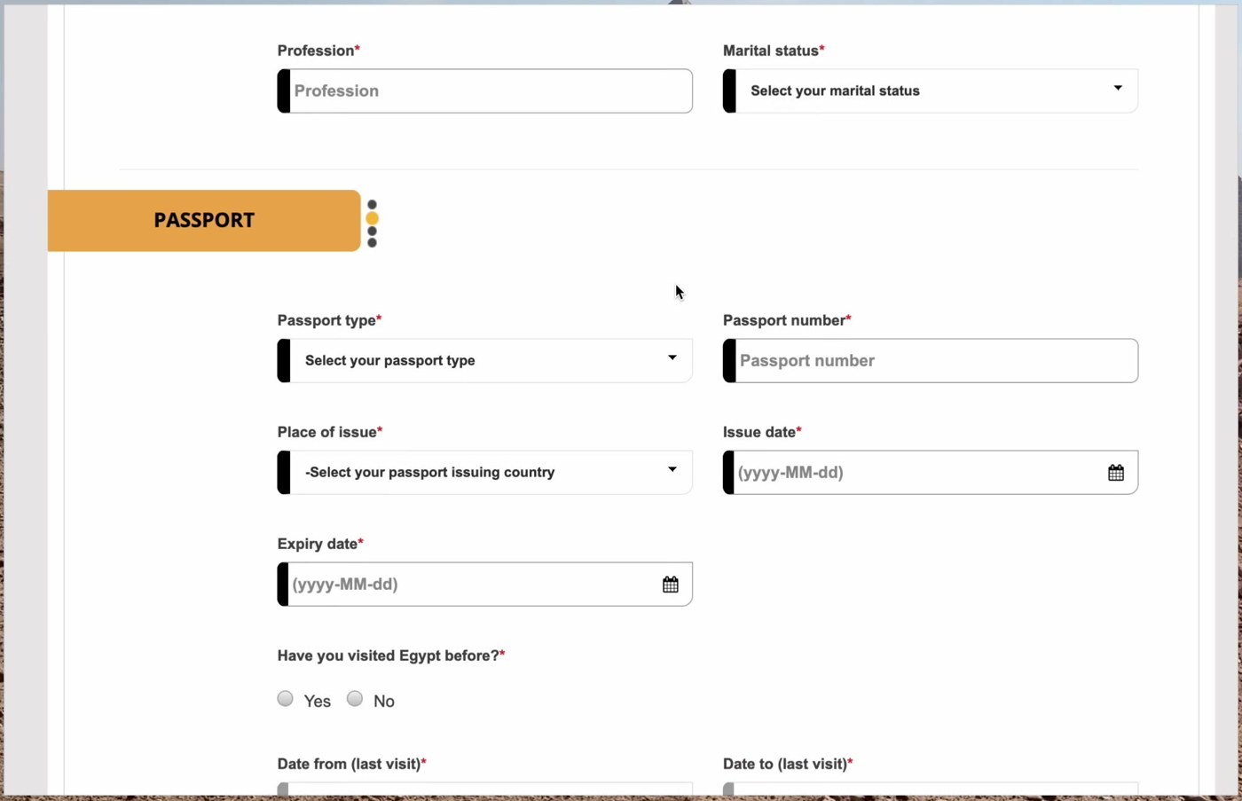 APPLICANT INFORMATIONタブのパスポート情報入力欄