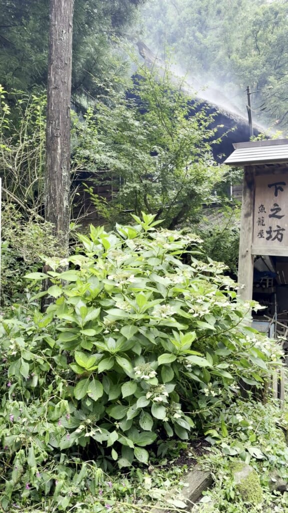 「下之坊」の看板と魚籠屋への入口
