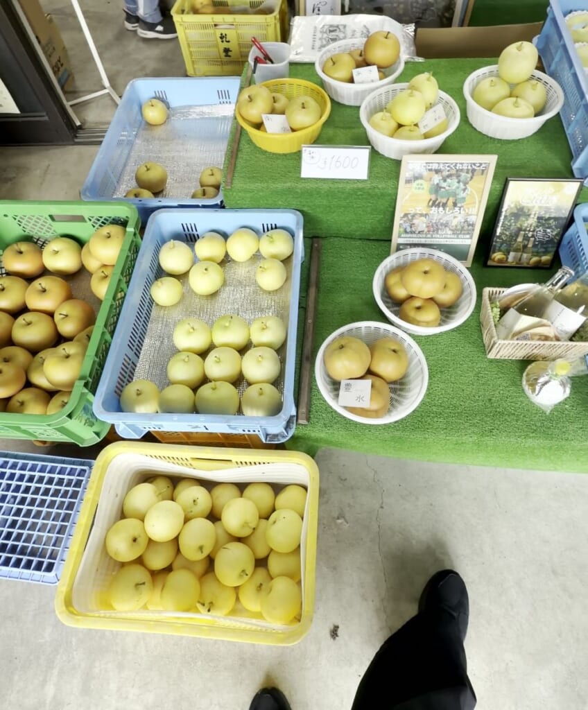 くだもの街道の直売所に並ぶ梨