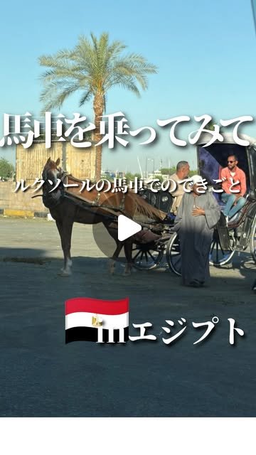 ルクソールの馬車のInstagramリール投稿