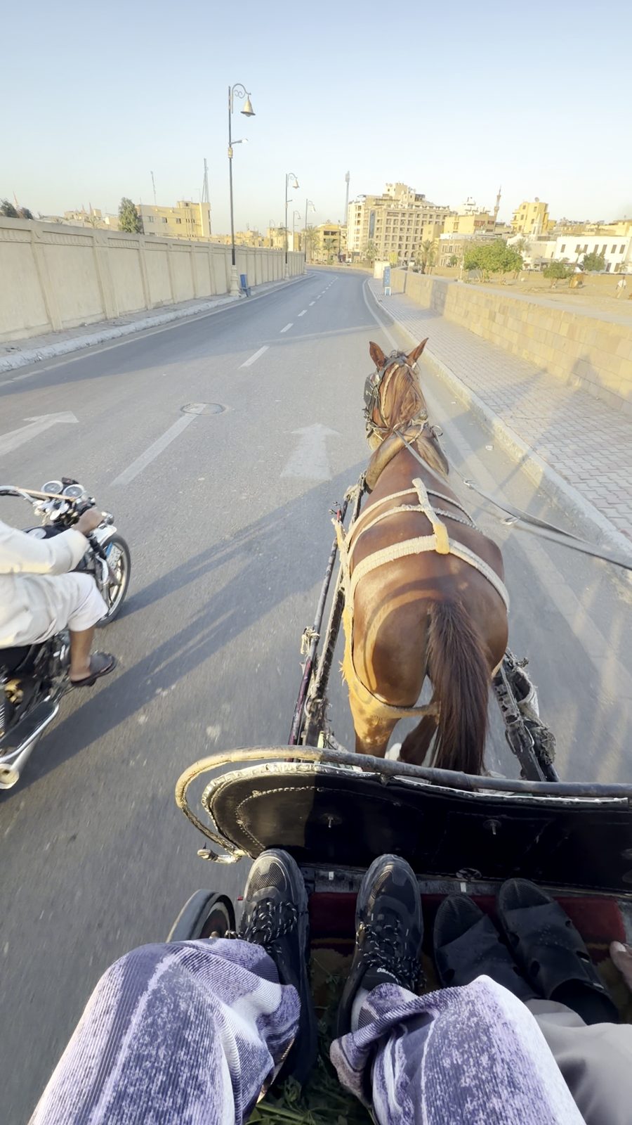 夕方のルクソールを走る馬車の座席からの眺め
