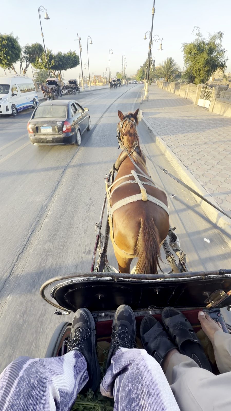 ルクソールのナイル沿いの道を走る馬車から見た景色