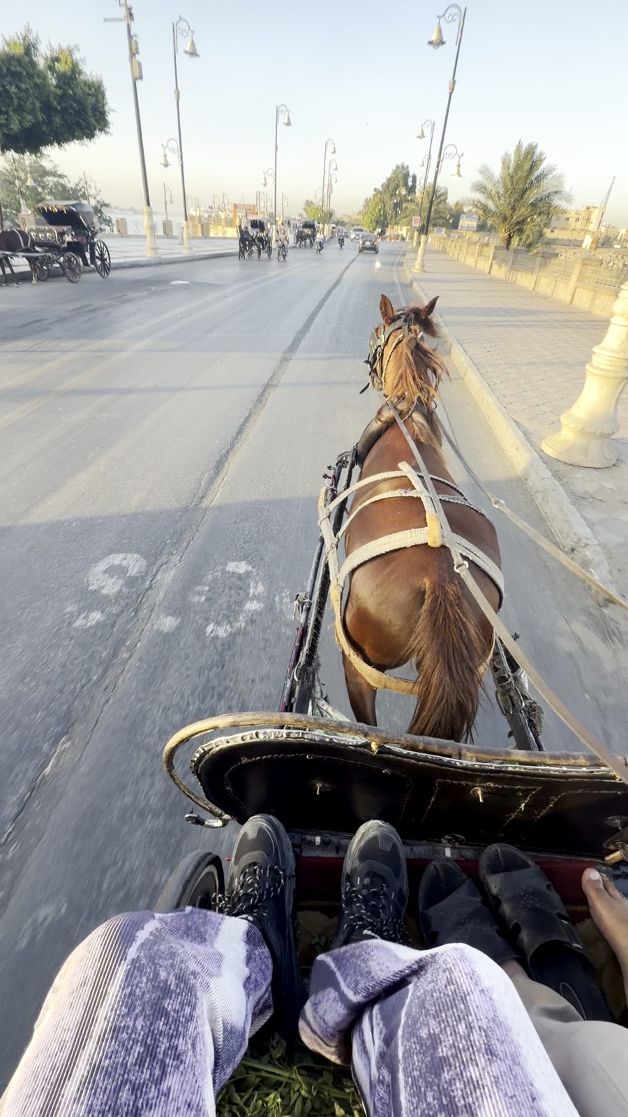 ルクソールの大通りを走るほかの観光馬車
